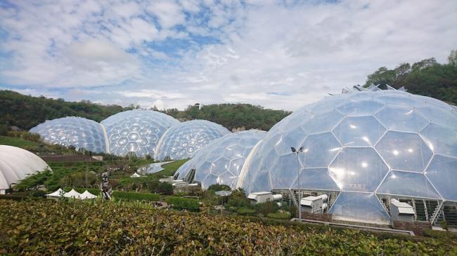 Проект Эдем (Eden Project) – самый крупный и высокотехнологичный ботанический сад в мире Проект Эдем (Eden Project) – самый крупный и высокотехнологичный ботанический сад в мире